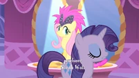 Rarity see attitude S1E20