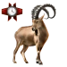 Item nubianibex 01