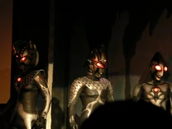 Ultraman Chsdrds