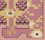 Bosque Perdido (Oracle of Seasons)