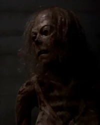 Mujer animatrónica.jpg