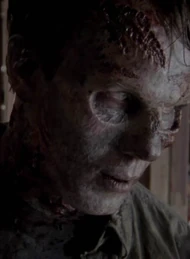 Caminante de la tienda.jpg