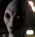 XFilesGrey