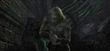 Basch-freed