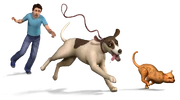 TS3P Render 4
