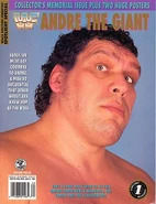 WWF Wrestling Spotlight 20