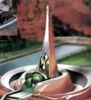 Galbadia-Garden-Artwork