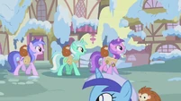 The animal team sings with hedgehogs S1E11