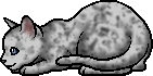 Ashfur (TC).kit