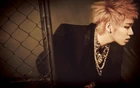 Zicoblockb