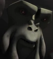Oked-Bounty.png