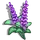 Sage-icon