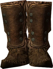 Fur Boots