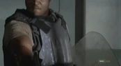 T-dogladysmith