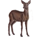 Item roedoe 01