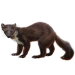 Item pinemarten 01
