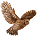 Item tawnyowl 01