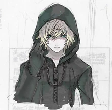 Roxas Organization 13 by eric899.jpg
