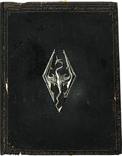 HighPolySkyrimBook