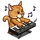 Orange Keyboard Cat-icon