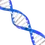UserDNAHelix