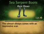 Sshboots