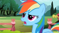 Rainbow Dash 'utmost importance' S2E07