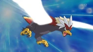 EP761 Braviary usando Ataque ala