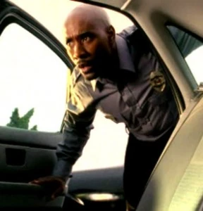 Morris-chestnut-288x300.jpg (19 KB) Morris-chestnut-288x300