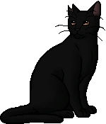 Cora.warrior