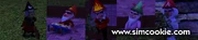 Seasns Gnomes