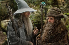 Radagast and Gandalf2