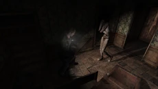 SH2WoodsideMannequin2