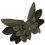Featherypaulettes