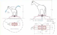 Splashzoogiraffe