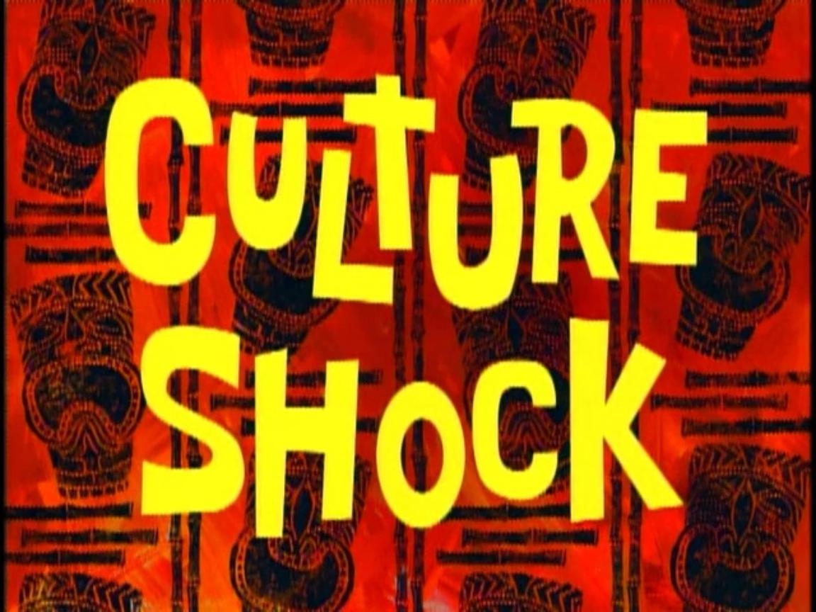 Culture_Shock.jpg