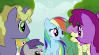 Rainbow Dash Speaks to the Crowd S2E8