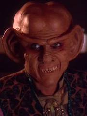 Quark 2372