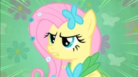 Fluttershy determined S1E26