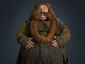 Bombur.jpg