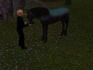 Feedingunicorn