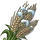 Winter Grain-icon