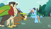 Rainbow Dash "You'd better" S2E07