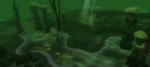 Swamp Cave