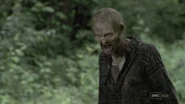 Walker del flechazo