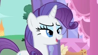 Rarity I knew you'd be perfect S1E20