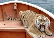 LifeofPi-21