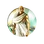 Gandhi (Civ5)