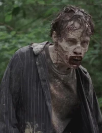 Caminante del bosqe.jpg