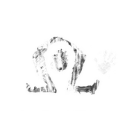 Glyph-Omega